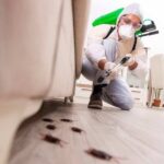 Protect Your Reputation: The Importance of Pest Control for Businesses