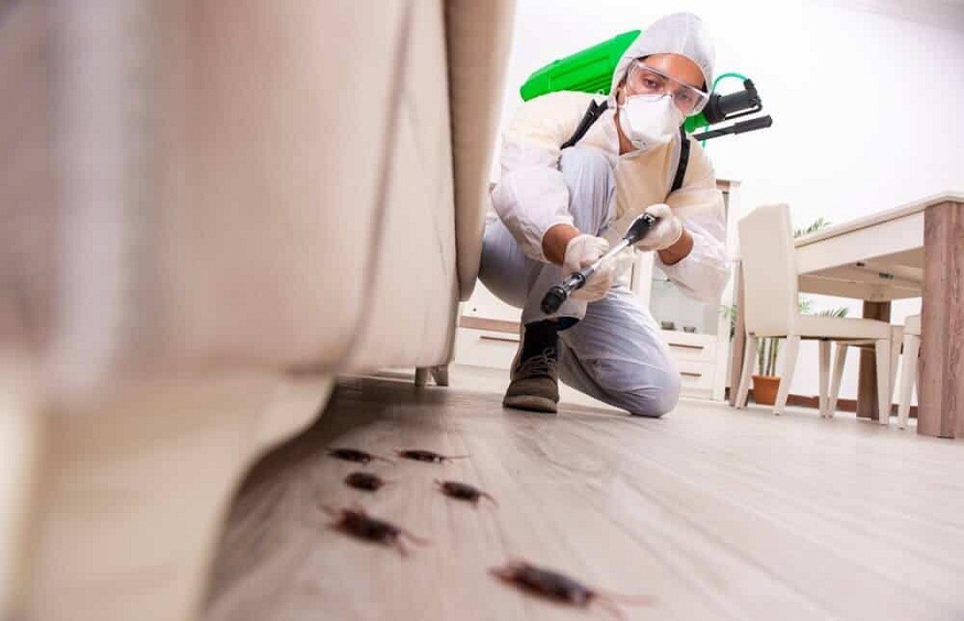 Pest Control