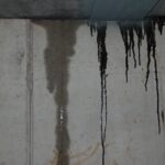 Bathroom Wall Leaks: Why They’re Happening and How to Handle the Repair